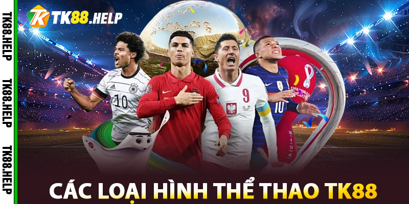 Thể Thao TK88 – Kịch Tính Từng Giây, Lợi Nhuận Từng Trận 1 Các loại hình Thể Thao TK88